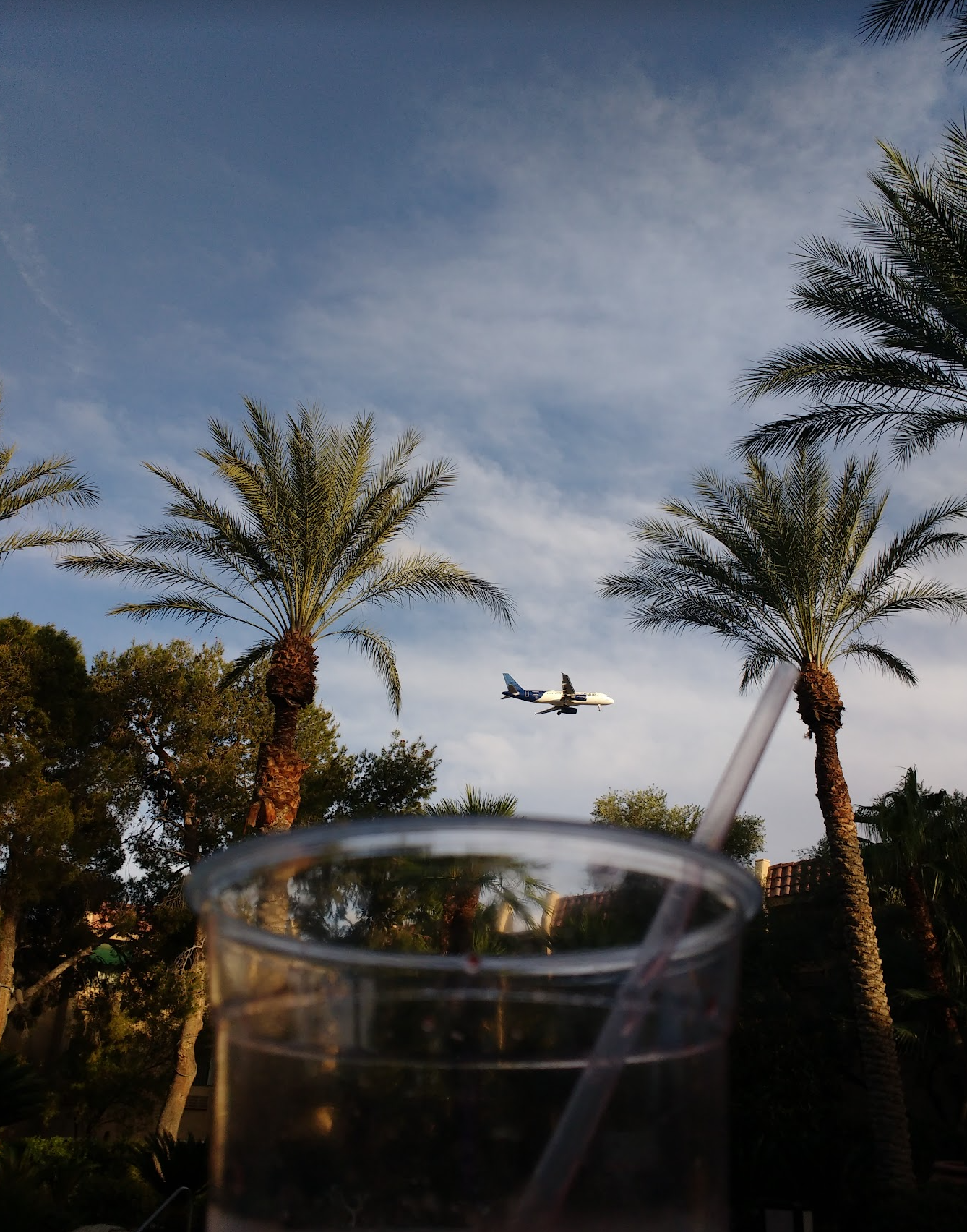 snapshot of an airplane flying over palm trees, with a cocktail in the foreground